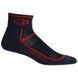 Термошкарпетки Icebreaker Multisport Light Mini MEN Oil M (42-44) 101 487 007 M фото 1