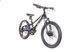 Велосипед 20" Trinx SEALS 3.0 10700157 фото 2