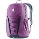 Рюкзак Deuter Gogo колір 5334 plum-ink 3813221 5334 фото 2