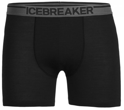 Термотрусы Icebreaker Anatomica Long Boxers MEN BLACK M 103 055 010 M фото