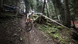 Колесо заднее DT Swiss XRC 1200 SP 29 CL 30 12/148 Carbon WXRC120TEDRCA09794 фото 3