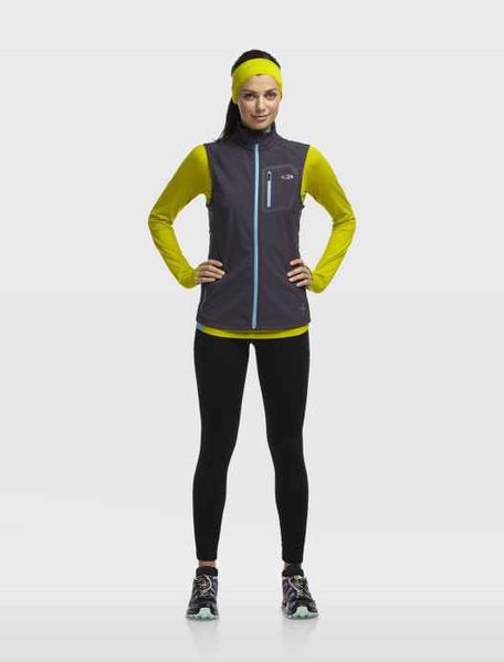 Термофутболка з довгим рукавом Icebreaker Pace LS Half Zip WMN chartreuse/glacier L 100 406 701 L фото