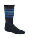 Термошкарпетки Icebreaker Ski Med OTC Stripe MIDNIGHT-42, M (27-29) 105 089 423 M фото 1