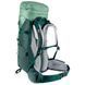 Рюкзак Deuter Aircontact Lite 45 + 10 SL колір 2264 aloe-forest 3340421 2264 фото 4