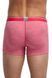 Термотрусы Icebreaker BF 150 Anatomica Boxer MEN stripe rocket/snow S 101 381 601 S фото 4