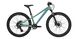 Велосипед CYCLONE DREAM 24 (2024) Зеленый 24-128 фото 1