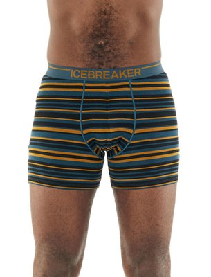 Термотруси Icebreaker Anatomica Boxers CURRY S 103 029 703 S фото