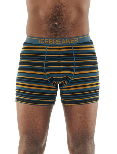 Термотруси Icebreaker Anatomica Boxers CURRY S 103 029 703 S фото