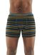 Термотруси Icebreaker Anatomica Boxers CURRY S 103 029 703 S фото 1