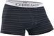 Термотруси Icebreaker BF 150 Anatomica Boxes MEN stripe monsoon/white S 100 806 D34 S фото 1