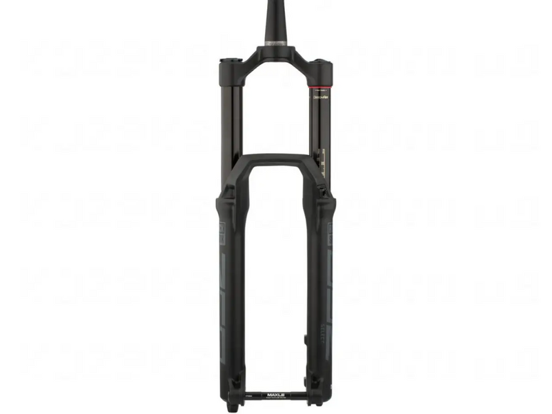 Вилка RockShox ZEB Select Charger RC - Crown 29" Boost&trade; 15x110 180mm Diff Black Alum Str Tpr 44offset DebonAir (includes Fender,2 Btm Tokens, Star nut & Maxle Stealth) A1 00.4020.569.006 фото