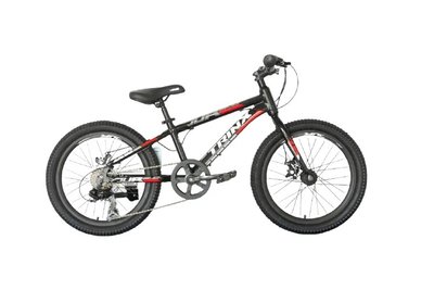 Велосипед 20“ Trinx Junior 3.0 10700030 фото
