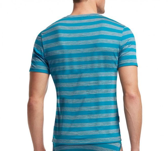 Термофутболка Icebreaker BF 150 Anatomica SS V MEN stripe alpine/metro L 102 911 401 L фото