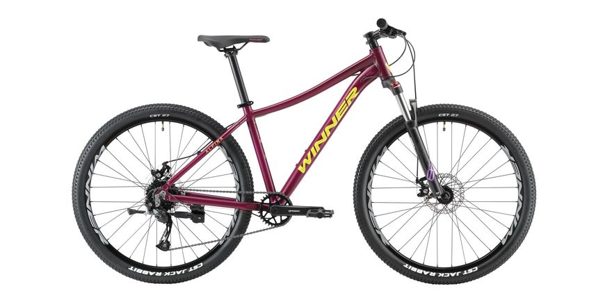 Велосипед WINNER ALPINA 27.5 (1x8) (2022) 14.5" Фиолетовый 22-262 фото